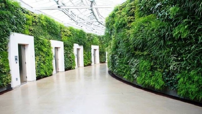 دیوار سبز هوشمند