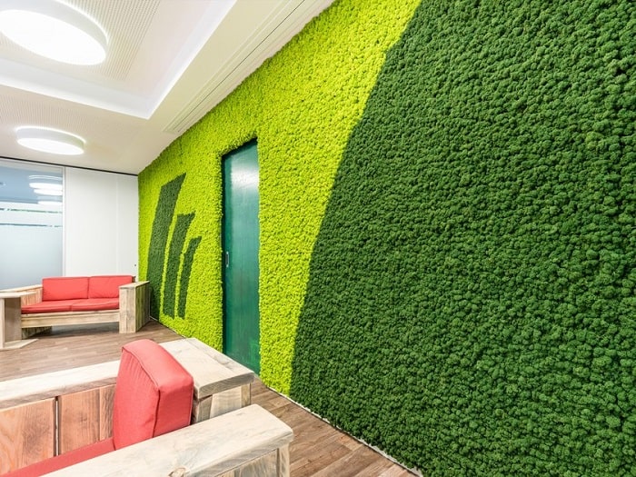 طراحی دیوار سبز 