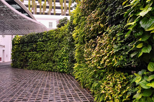 دیوار سبز تجاری